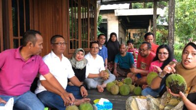 Wakil Ketua MPR Berburu Durian Penyengat Hingga Karang Intan, Banjar