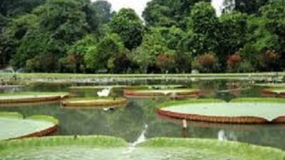 Kebun Raya Favorit Tempat Wisata Di Bogor