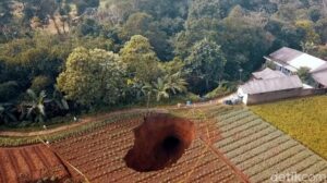 Dentuman Iringin Munculnya Lubang Raksasa Misterius Di Sawah Sukabumi