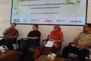 Mulai Masuk Indonesia, Hama Fall Armyworm Rugikan Petani Kecil