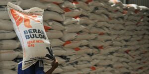 Buwas: Stok Beras Bulog Terancam Busuk, Yang Mau Impor Itu Orang Gila