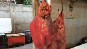 3 BUMN Bakal Impor 50 Ribu Ton Daging Sapi Brasil
