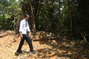 Diisukan Jadi Ibukota Baru, Harga Tanah Di Gunung Mas Naik 4 Kali Lipat