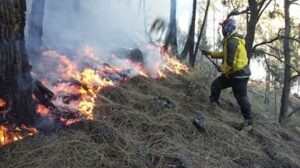 Kebakaran Hutan, 500 Warga Kalbar Gugat Perusahaan dan Negara