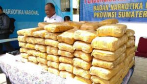 BNN Bongkar Gudang 143 Kg Ganja di Pematang Siantar, 3 Fakta Ini Terungkap