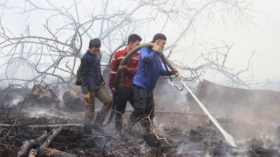 64 Perusahaan Terkait Karhutla Disegel, 20 Milik Asing