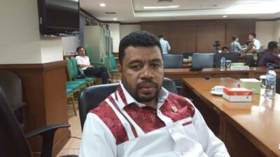 Tiket Manokwari-Jakarta Tembus Rp.22 Juta, Senator Papua Barat Protes Menhub