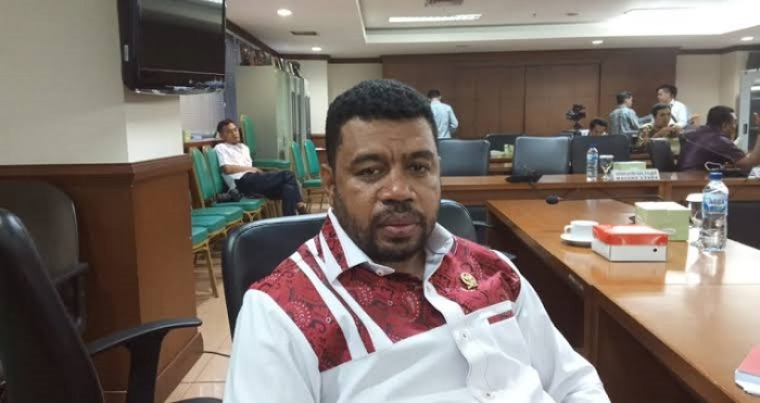 Tiket Manokwari-Jakarta Tembus Rp.22 Juta, Senator Papua Barat Protes Menhub