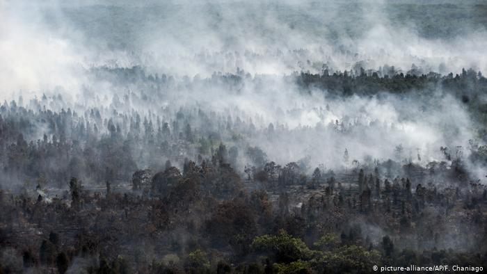 Kebakaran Hutan Selama 2019, Bikin Indonesia Rugi Lebih Dari Rp.72 Triliun