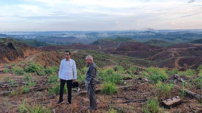 Pesut Hingga Bekantan Bakal Jadi Korban Pembangunan Ibukota Baru