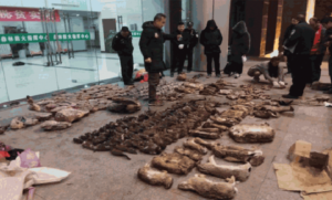 6 Makanan Paling Ekstrem di China, Dari Otak Babi Sampai Anak Serigala