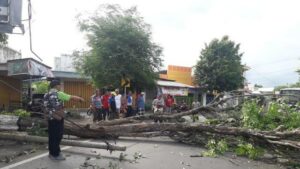 12 Kabupaten/Kota di Jatim Dihantam Puting Beliung, Surabaya dan Sidoarjo Terparah