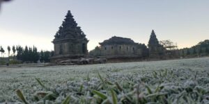 Fenomena Unik! Embun Es Dieng Muncul di Musim Penghujan