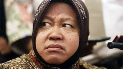 Risma dan Public Sector Congorisme