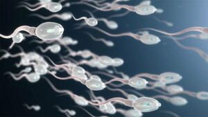 15 Fakta Menarik Seputar Sperma Yang Perlu Diketahui Perempuan