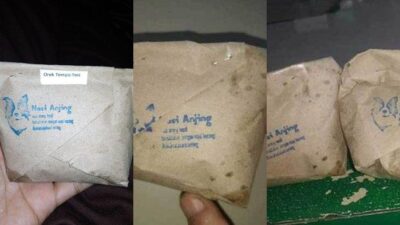 Blunder Nasi Anjing