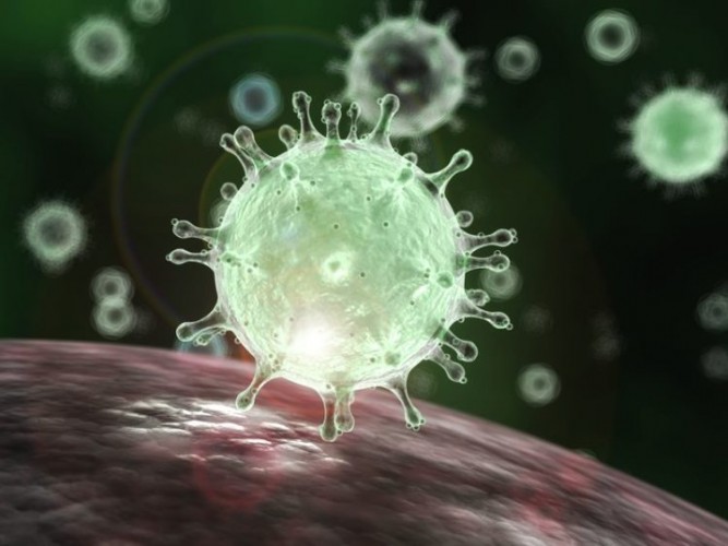 5 Kelemahan Virus Corona Yang Wajib Kamu Ketahui