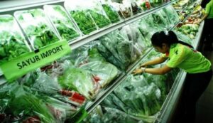 Impor Sayuran RI Melonjak Hingga Rp.11,2 Triliun, Ini Jawaban Kementan
