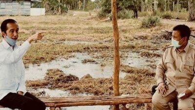 Penunjukan Prabowo Jadi Leading Sector Lumbung Pangan Nasional Itu Keputusan Ngawur