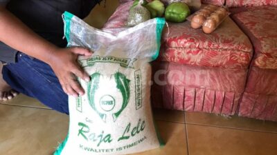 Beras Bantuan Jokowi Untuk Warga Gresik Banyak Kutu dan Tak Layak Konsumsi
