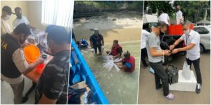 Terkait Ekspor Puluhan Benih Lobster, Lim Swie King Ditangkap
