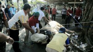 Apa Hukum Gunakan Halaman Masjid Untuk Sembelih Hewan Kurban?