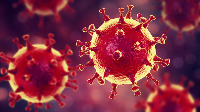 Unair Temukan Mutasi Virus Corona 10 Kali Lebih Menular di Jabar dan Jatim