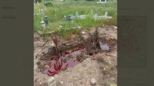 Viral! Kuburan Digenangi Cairan Merah Kental Seperti Darah