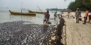 Duh! 805 Kg Limbah Minyak Mentah Dibersihkan Dari Pulau Pramuka dan Panggang