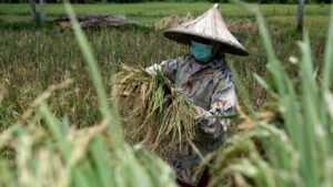UU Cipta Kerja Dituding Longgarkan Impor, Berpotensi Bawa RI Tak Mandiri Komoditas Pertanian