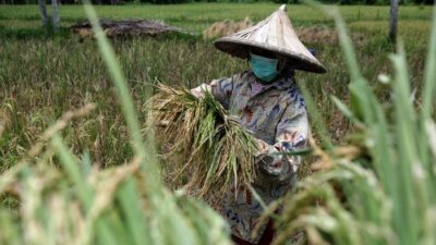 UU Cipta Kerja Dituding Longgarkan Impor, Berpotensi Bawa RI Tak Mandiri Komoditas Pertanian