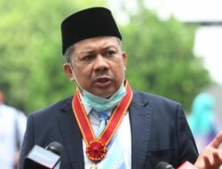 2 Kali ekspor Benih Lobster, Fahri Hamzah Justru Ngaku Rugi Rp.380 Juta
