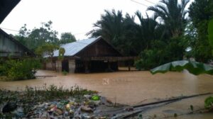 LAPAN Ungkap Banjir Kalsel Disebabkan Hilangnya Ratusan Ribu Hektar Hutan
