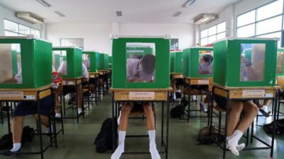 Thailand Izinkan Ekstrak Sambiloto Jadi Obat Herbal Pasien COVID-19