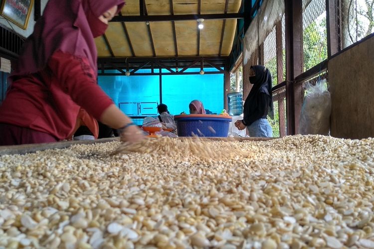 Demi Ketersediaan Tahu Tempe, Indonesia Bakal Impor 2,6 Juta Ton Kedelai