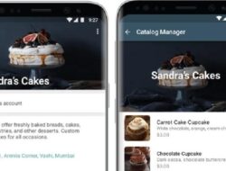 WhatsApp Paksakan Kebijakan Baru, CEO Tesla Elon Musk Ajak Masyarakat Pindah ke Signal