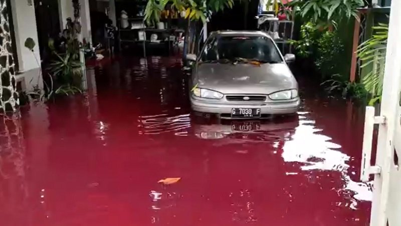 Heboh! Desa Jenggot di Kota Pekalongan Banjir Warna Merah Darah