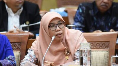 Kerumunan Jokowi di Maumere, Netty Prasetiyani: Jangan Salahkan Rakyat Jadi Masa Bodoh
