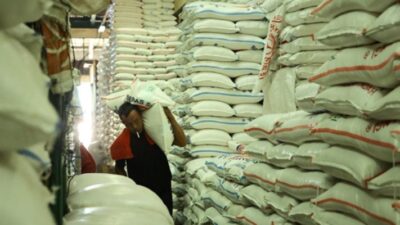 Impor 1 Juta Ton Beras, Muslim Arbi: Petani Cuma Dijadikan Jualan Jokowi Saat Pilpres