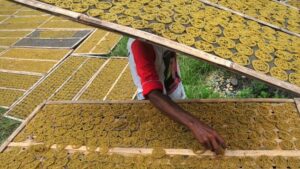 Jokowi Izinkan Pengusaha Besar Masuk Industri Keripik, Peyek Hingga Batik Tulis