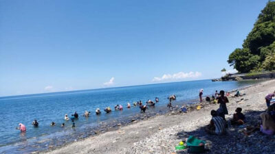 Heboh! Warga Tamilouw Malteng Ramai-Ramai Dulang Emas di Pantai Pohon Batu