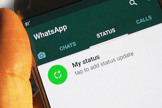 Ini Caranya Agar Status WhatsApp Tak Bisa Dilihat Orang Yang Tak Diinginkan
