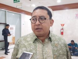 Puluhan WN China Masuk ke Indonesia, Fadli Zon: Diskriminasi Terhadap WNI