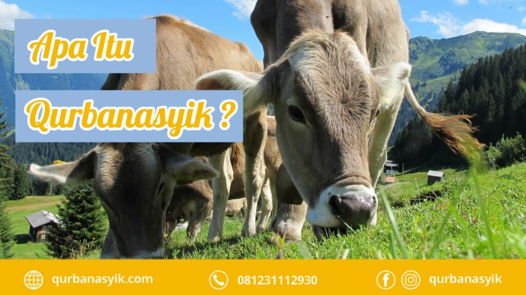 Platform Digital QurbanAsyik Diluncurkan, Ibadah Qurban dan Aqiqah Jadi Lebih Mudah