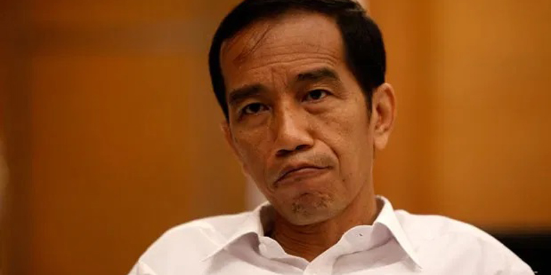 Jokowi Tambah Wakil Menteri Lagi, Pengamat: Kembali Balas Jasa, Ujungnya Bebani APBN