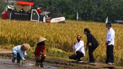 Sejumlah Menteri dan Orang Dekat Jokowi Diduga Rancang 3 Periode Atau Perpanjang Masa Jabatan
