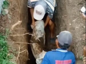 Heboh! Bertahun-tahun Dikubur, Jenazah di Bojonegoro Ini Tetap Utuh dan Harum