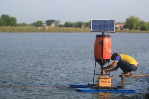 StartUp eFishery Dorong Ribuan Pembudidaya Ikan Dan Udang Digitalisasi Ekosistem Akuakultur