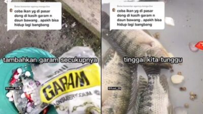 Bagikan Cara Hidupkan Ikan Mati Pakai Garam dan Daun Bawang, Video Tiktok Ini Ditonton 17 Juta Kali