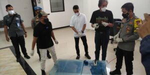 Pencurian Terbesar! Pria Ini Sikat 400 Ekor Arwana Super Red Senilai Rp.24 Miliar Dari Kolam Bosnya di Bogor